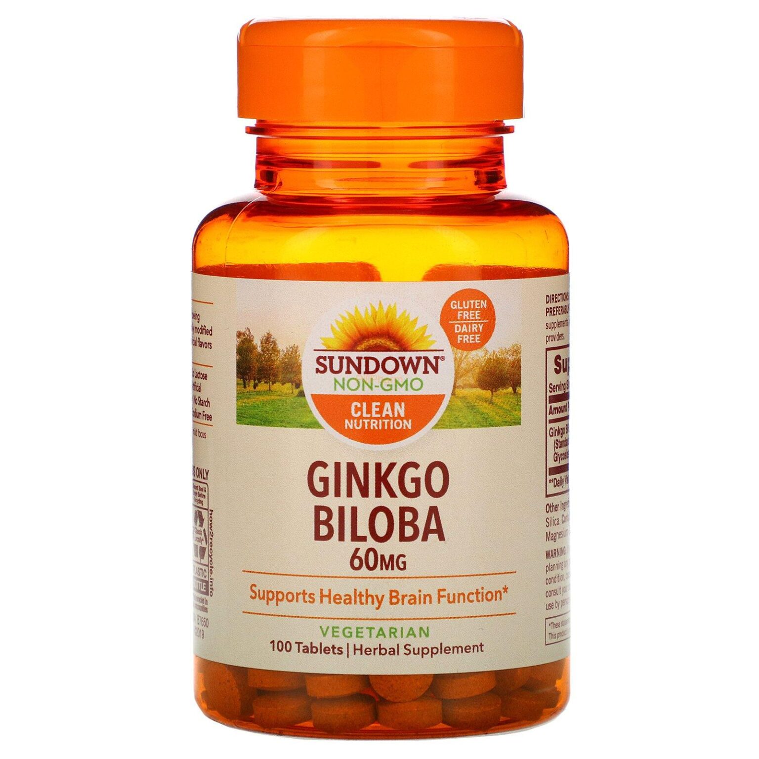 Sundown Naturals, Ginkgo Biloba Standardized 60mg, 100 Tablets - Image 1
