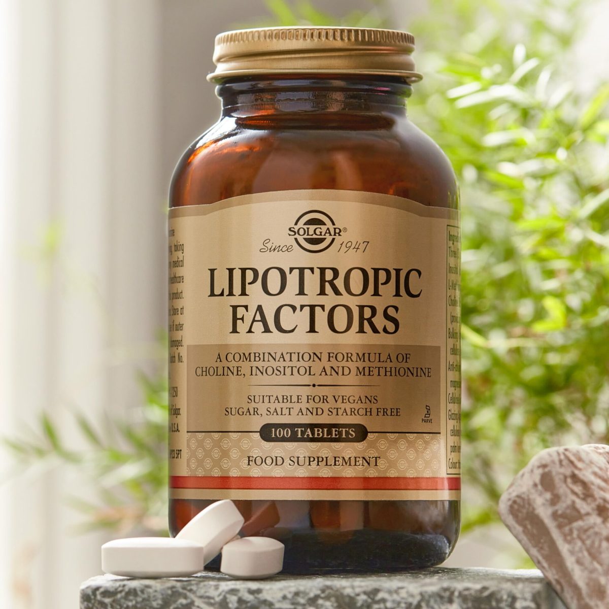 Solgar Lipotropic Factors Tablets 100's - Image 1