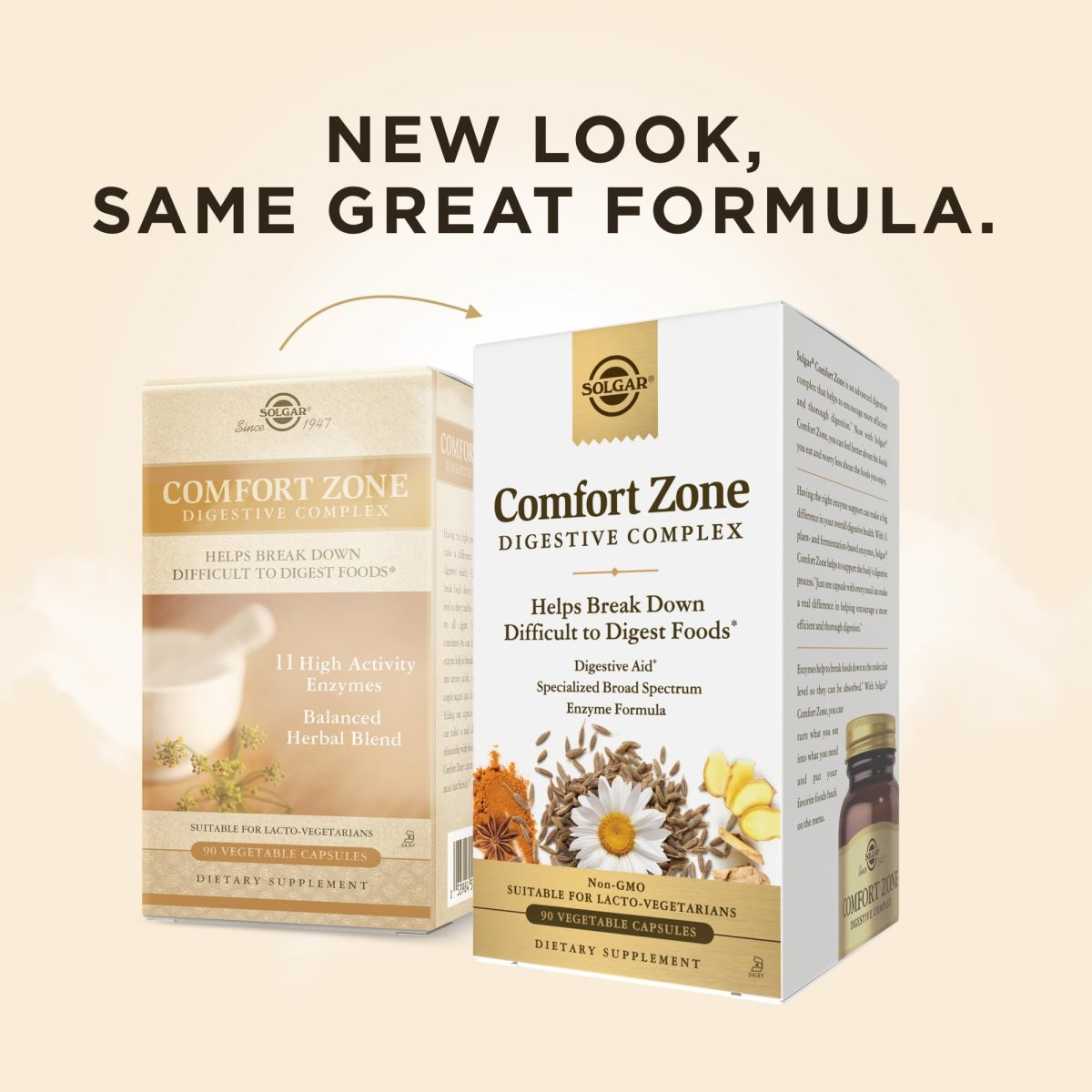 Solgar Comfort Zone Digestive Complex Vegetable Capsules 90's - Image 1