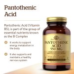 Solgar Pantothenic Acid 550mg Vegetable Capsules 100's