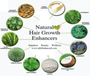 Hair Loss nutritional Interventions and Supplementation