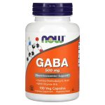 NOW Foods, GABA with Vitamin B-6, 500mg, 100 Veg Capsules