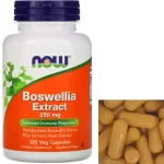 Now Boswellia Extract 250mg Vcaps 120's