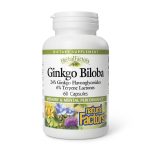 Natural Factors Ginkgo Biloba Phytosome 60 mg (60 Capsules)